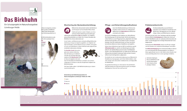 VNP – Faltblatt