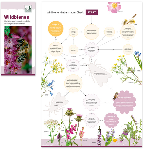 VNP Faltblatt Wildbienen